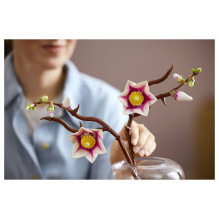 LEGO Botanicals 11510 konstravimo žaislas