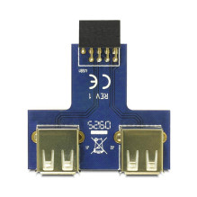 DeLOCK 9-pin 2.54 mm / 2 x USB 2.0