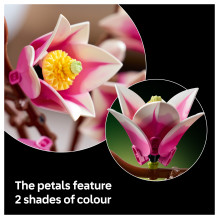 LEGO Botanicals 11510 konstravimo žaislas