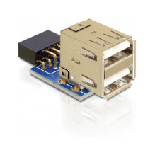 „DeLOCK“ 1 x 9 kontaktų 2,54 mm / 2 x USB 2.0-A „DeLOCK“ 1 x 9 kontaktų 2,54 mm / 2 x USB 2.0-A