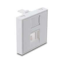 DeLOCK 81552 keystone module accessory