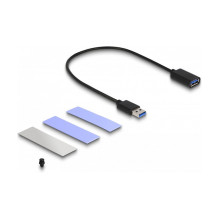 DeLOCK 42013 storage drive enclosure