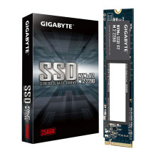 GIGABYTE G3NVMEV2256G internal solid state drive