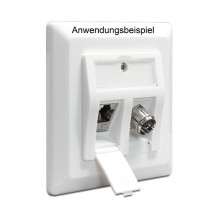 DeLOCK 86202 outlet box DeLOCK 86202 outlet box