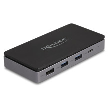 DeLOCK 88271 laptop dock / port replicator