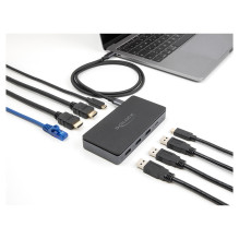 DeLOCK 88271 laptop dock / port replicator