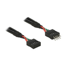 DeLOCK 0.1m 2xUSB2.0 10p