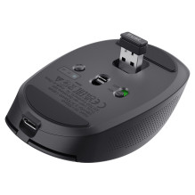 Pasitikėkite Ozaa pele
