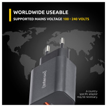Intenso 7803010 power adapter / inverter