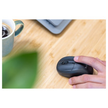 Trust Primo mouse