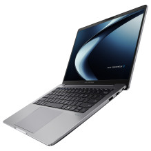 ASUS ExpertBook P3 P3405CVA-NZ0417X