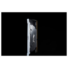 Kingston Technology FURY Renegade RGB memory module
