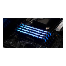 Kingston Technology FURY Renegade RGB memory module