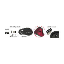 DeLOCK 12528 mouse DeLOCK 12528 mouse