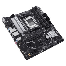 Asus Prime A620M-A-CSM