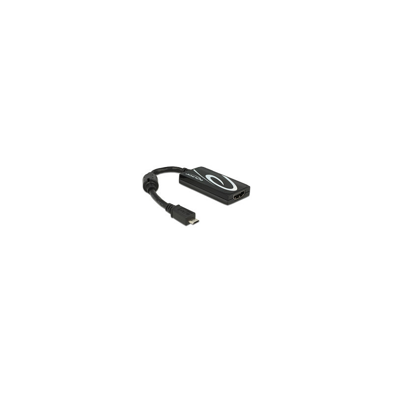 DeLOCK 4043619656431 USB grafikos adapteris