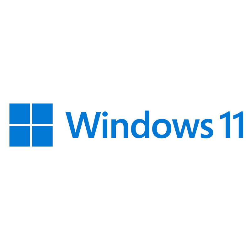 „Microsoft Windows 11 Pro“ darbo stotims