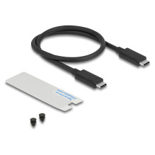 DeLOCK 42025 storage drive enclosure