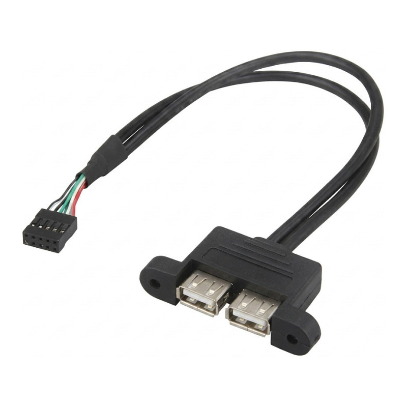 ASROCK DESKMINI 2XUSB2.0 KABELIS