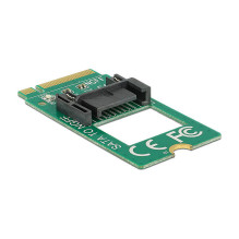DeLOCK 62876 sąsajos plokštės / adapteris DeLOCK 62876 sąsajos plokštės / adapteris