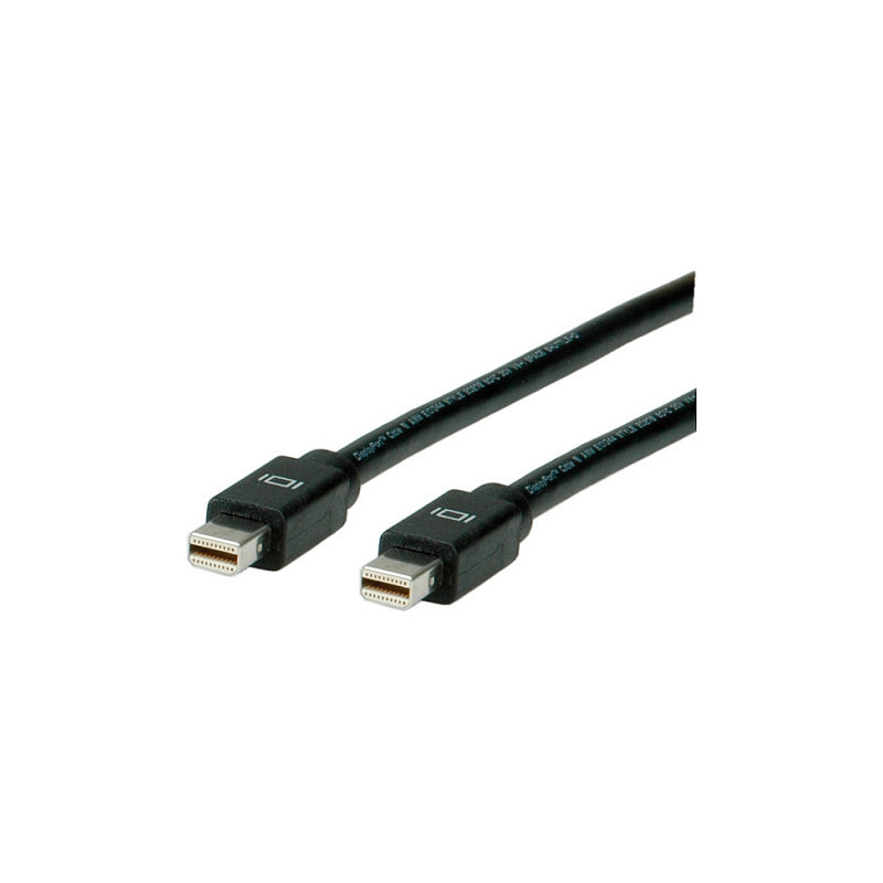 ROLINE Mini DP - Mini DP, M / M, 2 m