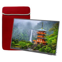 JAPANNEXT JN-MD-I156FHDR-T computer monitor