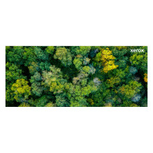 „Xerox 006R04830“ tonerio kasetė „Xerox 006R04830“ tonerio kasetė
