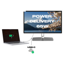 JAPANNEXT JN-IPS2152FHDR-C65W-FLD-T kompiuterio monitorius