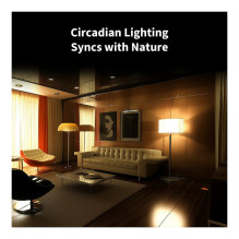 Replace LED Bulb T2