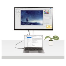 StarTech.com TBLT4MM1M Thunderbolt cable
