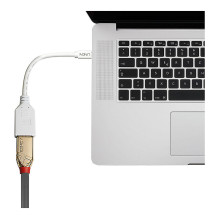 Lindy 41021 DisplayPort kabelis