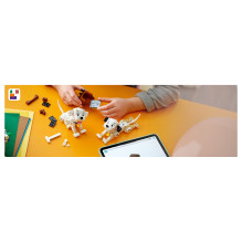 Lindy 43271 USB laidas Lindy 43271 USB laidas