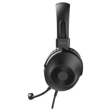 Pasitikėjimas HS-250 Pasitikėjimas HS-250
