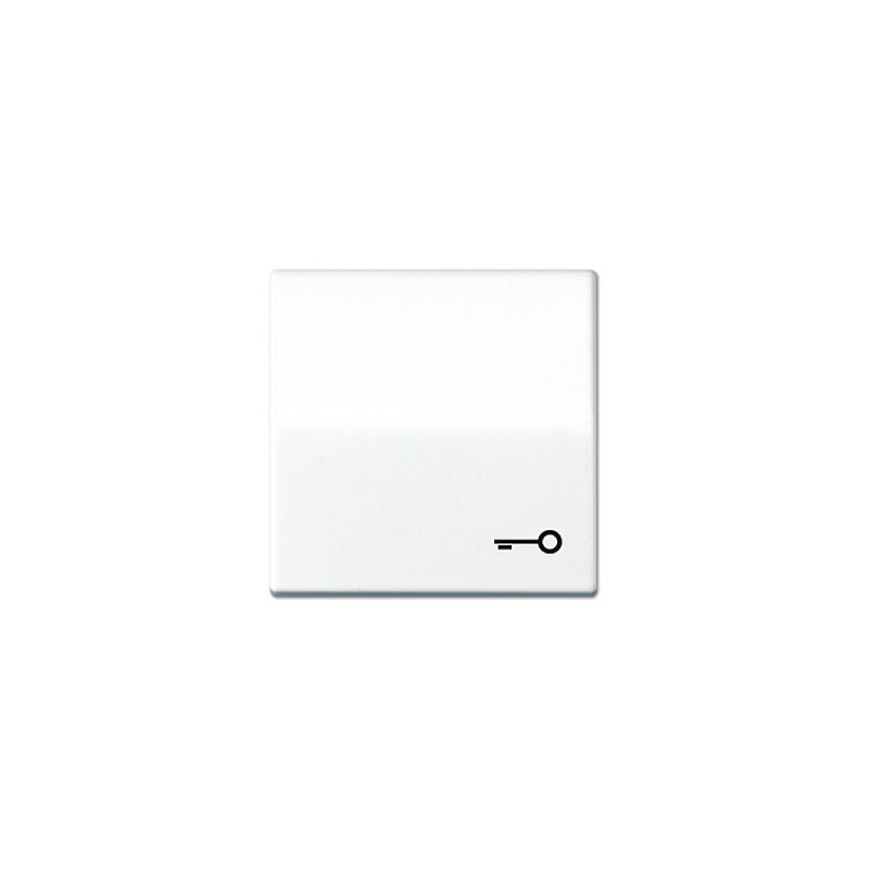Jung AS 591 T WW rocker switch with door symbol