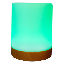 RealPower 463601 night-light RealPower 463601 night-light