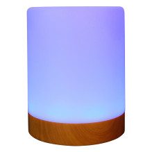 RealPower 463601 night-light RealPower 463601 night-light