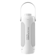 „RealPower 463610“ lauko...