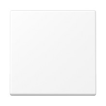 JUNG A590WWM wall plate /...