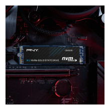 PNY CS2230