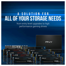 PNY CS2230