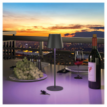„RealPower LED TableLight 360 RGB“ stalo lempa „RealPower LED TableLight 360 RGB“ stalo lempa