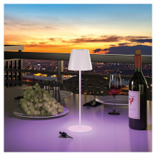 „RealPower LED TableLight 360 RGB“ stalo lempa „RealPower LED TableLight 360 RGB“ stalo lempa