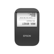 Epson TM-P20II (101)