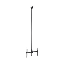 „StarTech.com“ FPCEILPTBLP...
