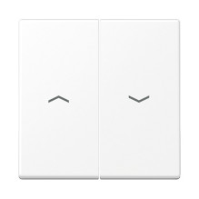JUNG A595PWWM wall plate /...