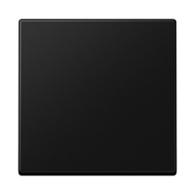 JUNG A590SWM wall plate /...