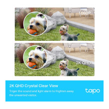 TP-Link Tapo C420S1