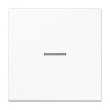 JUNG LS101KO5WW wall plate...