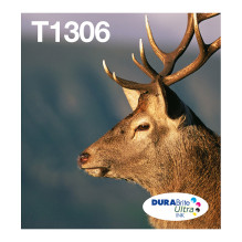 Epson Stag T1306 ink cartridge