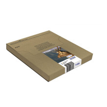 Epson Stag T1306 ink cartridge
